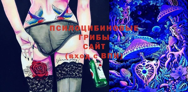 шишки Богданович